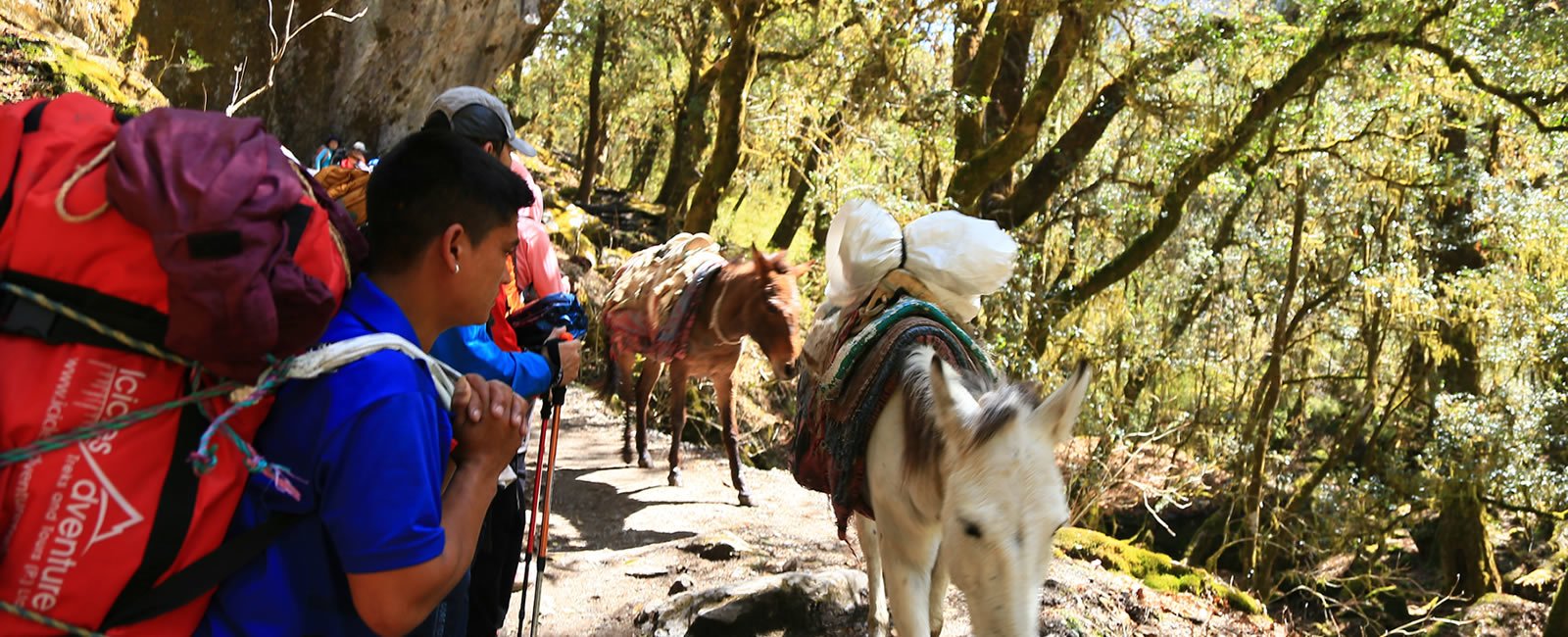 tamang-heritage-trail-langtang 