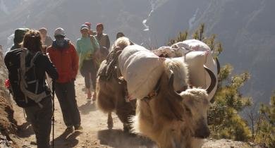 luxury-trek-in-nepal 