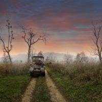 Jeep Safari (4) 